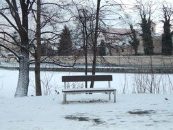 bench in the winter garden