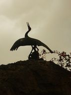 shadow of the sculpture of a crane