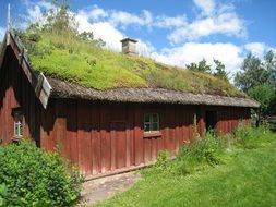 grass on the roof of an old house in Sweden