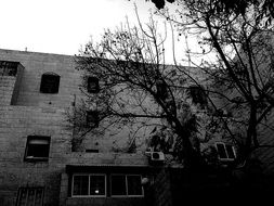 dark grey brick house and a tree