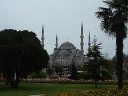 sultanahmet mosque at park, turkey, istanbul