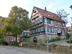 wooden houses in the village