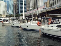 yacht harbor in Sydney in australia