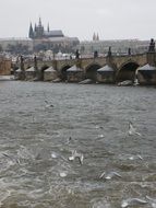 bridge in prague in stormy weather