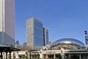 Chicago bean on the background of skyscrapers in Chicago