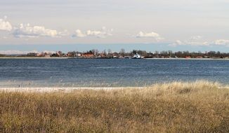 dry grass by the river