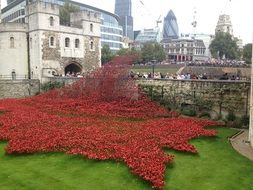 red flower bed in front of the castle
