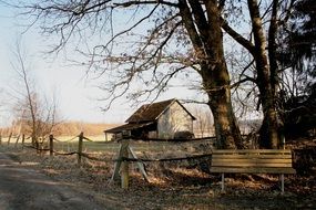 spring trees and an old bank barn