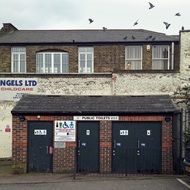 birds over old london building