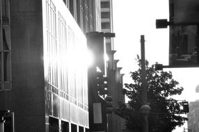 black and white photo of downtown dallas