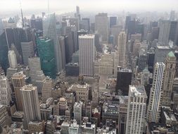 urban landscape of downtown of New York