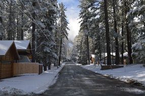 wooden houses along road in forest at snowy winter