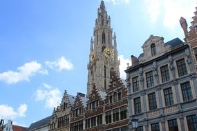 cathedral with tower in belgium, antwerp