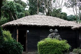 wooden cottage with a thatched roof