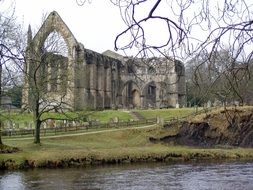 ruin of gothic abbey at river, uk, england, yorkshire