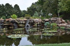 bridge garden