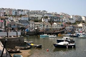 small harbor in devon