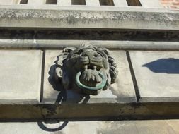 closeup view of stone head of a lion on the facade of the building