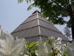 pyramid and white flowers