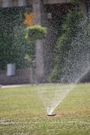 city garden grass sprinkler