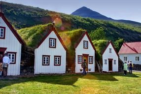 iceland homes