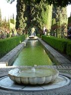 alhambra pond in a garden