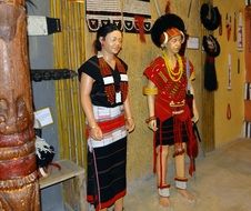 ethnic indian costumes