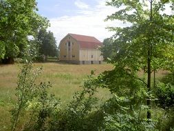 house among the green forest in sweden