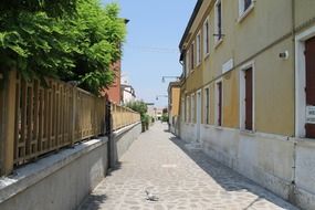 venice street on a sunny day