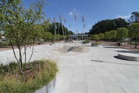 city park grove in summertime