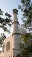 tower and dome of taj mahal behind trees, india, rajasthan