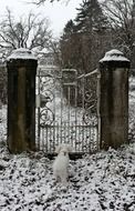 snow gate