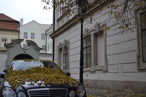 autumn in prague