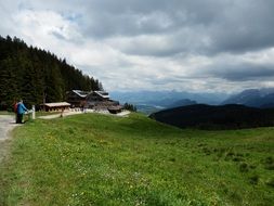 panorama of a picturesque alpine meadow