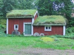 houses with green grass roof in sweden