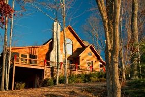 wooden log cabin in the forest