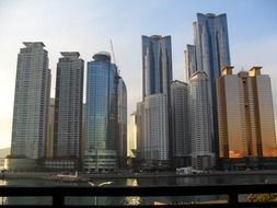 skyscrapers in haeundae beach at evening, korea, busan