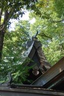 roof of the traditional japanese house