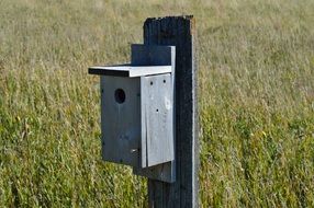 grey bird house