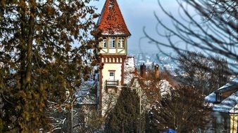 high observation tower behind the trees