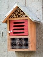 colored house for insects close-up