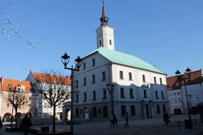 the old town market