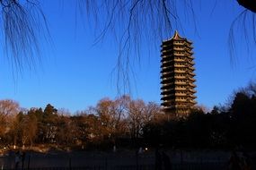 tall chinese style building