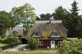 thatched roof northern germany