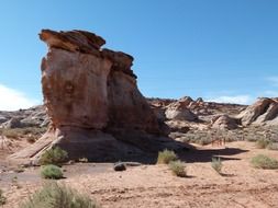 Red rock among the desert of arizona