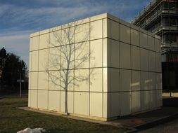 mystic tree shadow on building