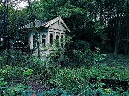 old wooden building in forest at summer