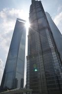 Skyscrapers in Shanghai