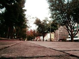 street park