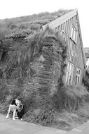 dog guards wooden cottage